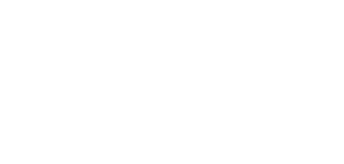 Netex
